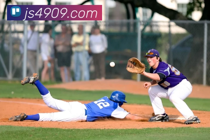 澳门金沙国际平台生态图